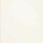 Cabaret - Soft White