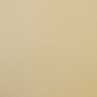 Essential - Brushwood