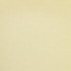  Viewscreen - White Birch