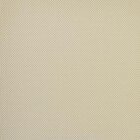 Viewscreen - White Pearl